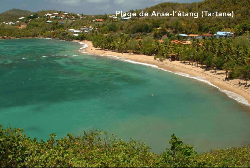 F3 Hibiscus - Piscine Chauffee - Vue Mer - 9 Min De La Plage - Ti Zwezo Paradi 라 트리니테 외부 사진
