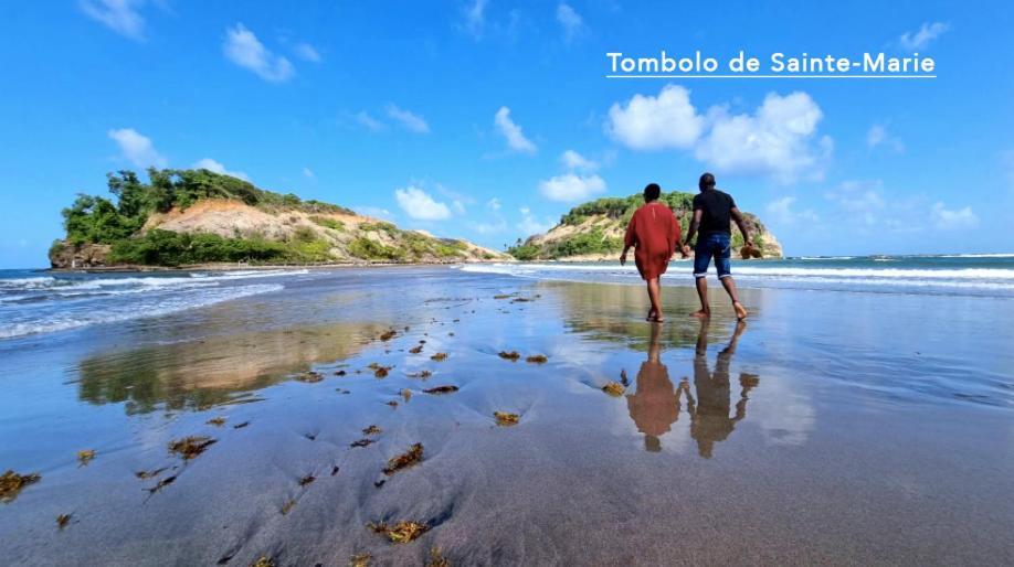 F3 Hibiscus - Piscine Chauffee - Vue Mer - 9 Min De La Plage - Ti Zwezo Paradi 라 트리니테 외부 사진