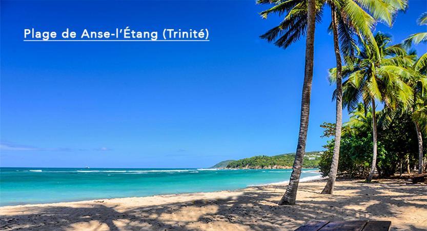 F3 Hibiscus - Piscine Chauffee - Vue Mer - 9 Min De La Plage - Ti Zwezo Paradi 라 트리니테 외부 사진