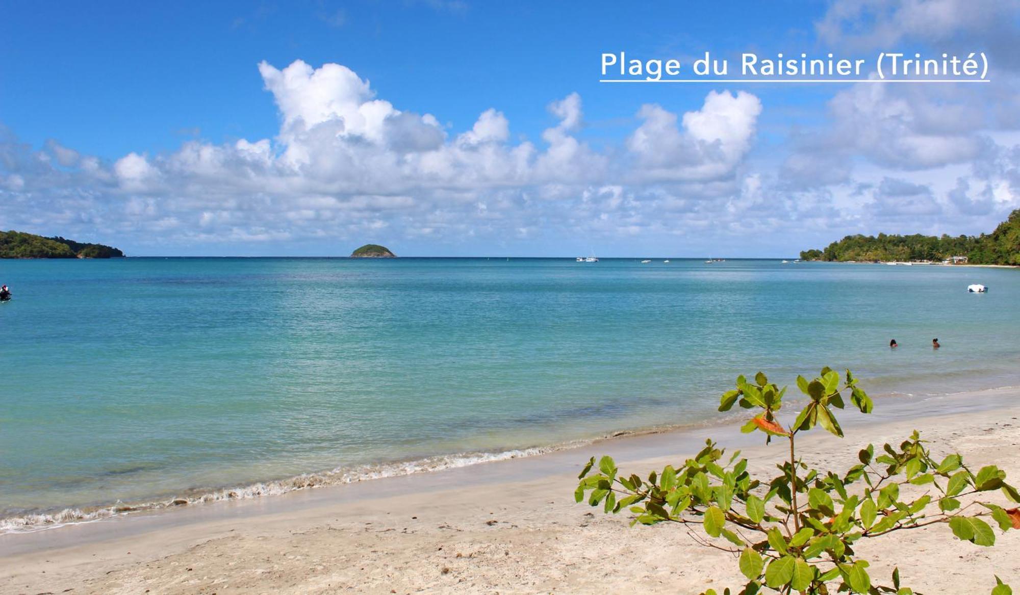 F3 Hibiscus - Piscine Chauffee - Vue Mer - 9 Min De La Plage - Ti Zwezo Paradi 라 트리니테 외부 사진